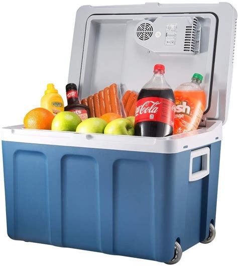 lightweight electric cooler